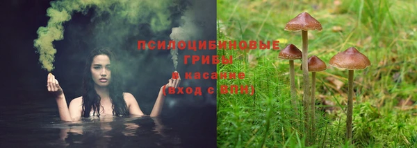 наркотики Кукмор