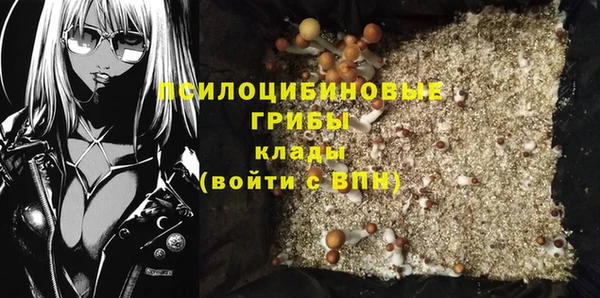 гашик Ладушкин