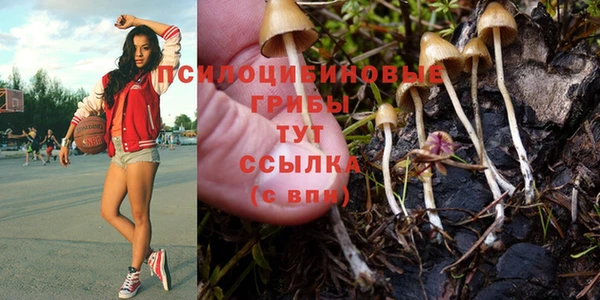 прущая мука Лагань
