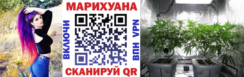 наркошоп  Красновишерск  Конопля тримм 